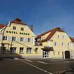 Hasen Allgaeu
