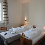 Hasen Allgaeu