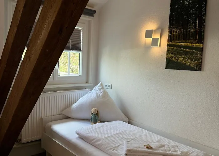 Hasen Allgaeu Kaufbeuren