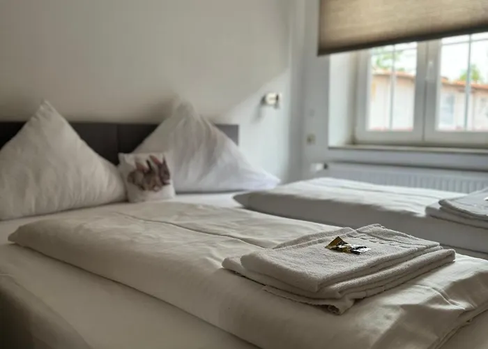 Hasen Allgaeu Hotel Kaufbeuren