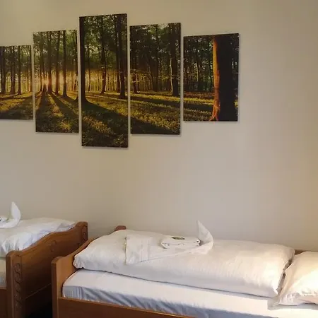 Otel Hasen Allgaeu 2*