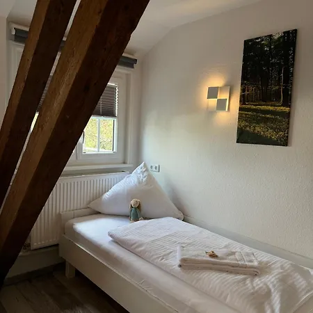 Hasen Allgaeu Kaufbeuren